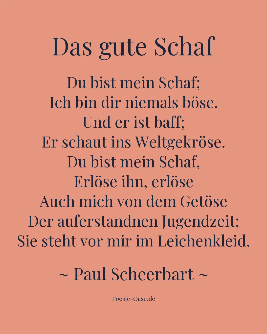 Illustration zu Das gute Schaf