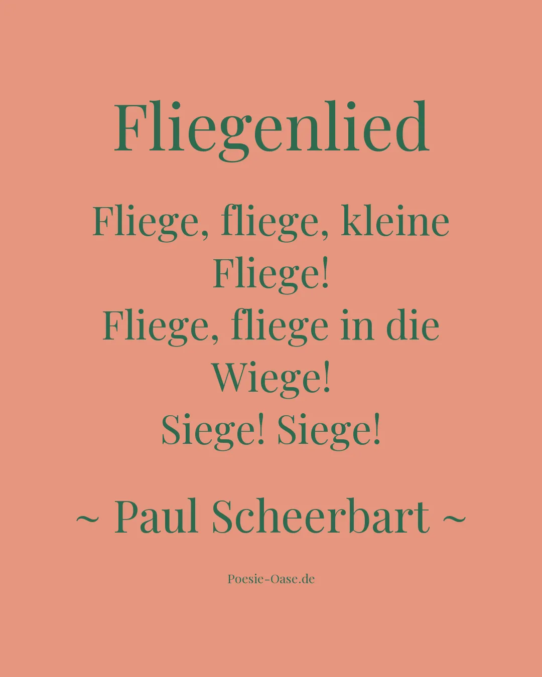 Illustration zu Fliegenlied