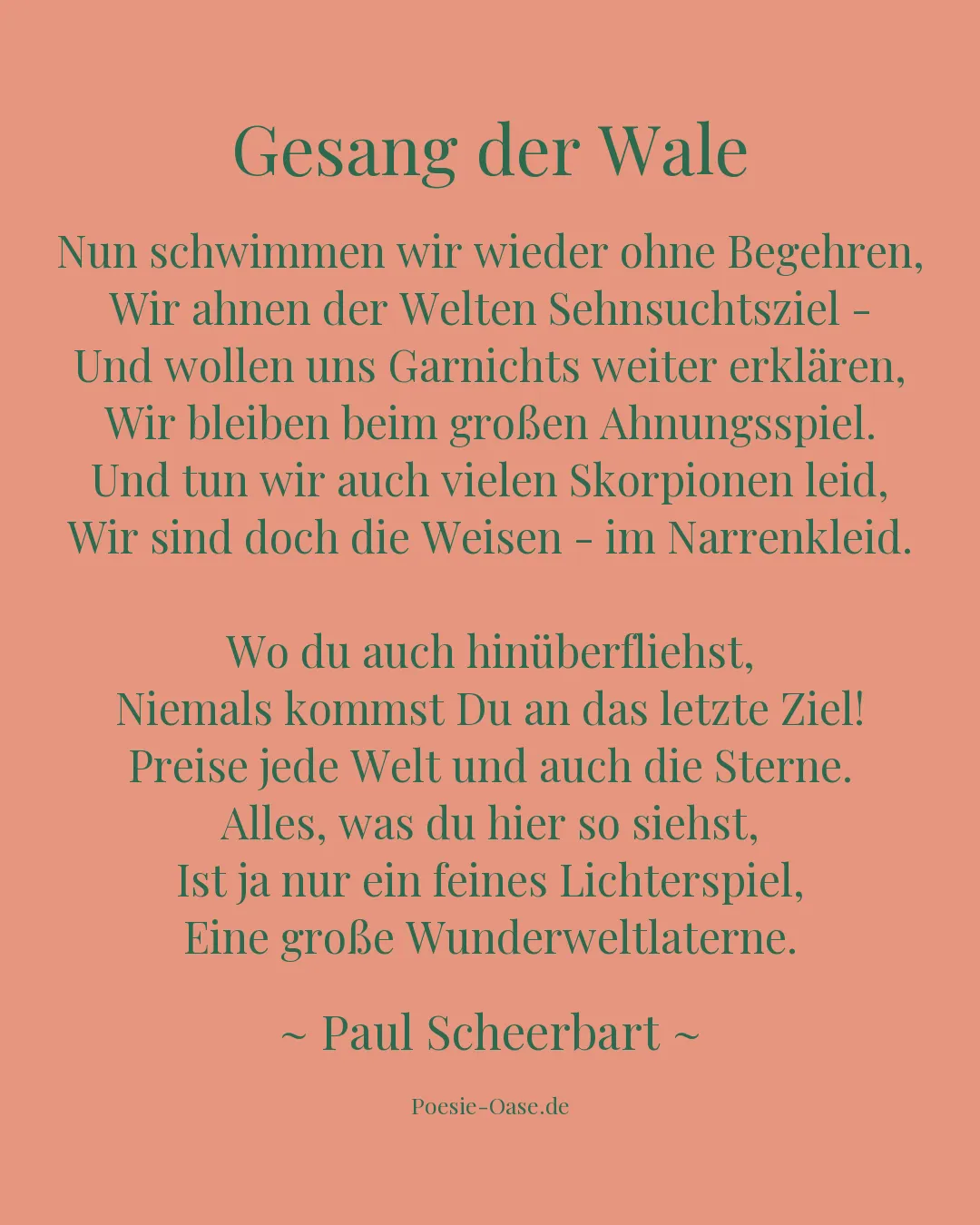 Illustration zu Gesang der Wale