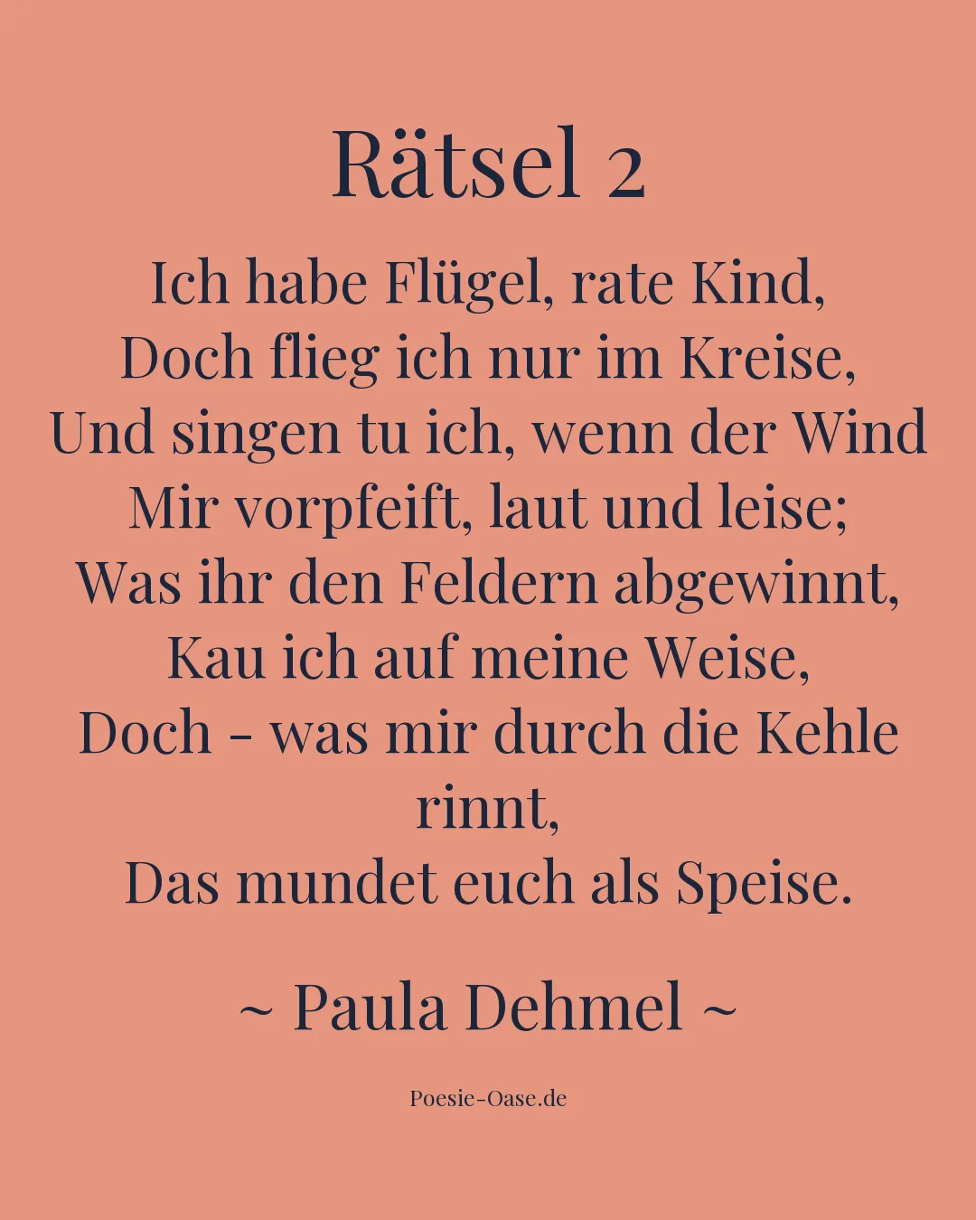 Illustration zu Rätsel 2