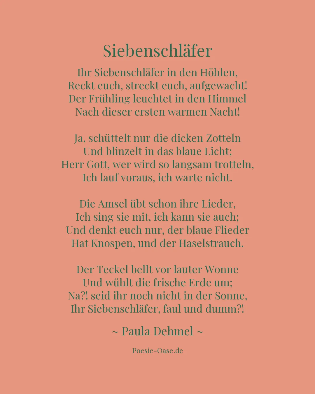 Illustration zu Siebenschläfer