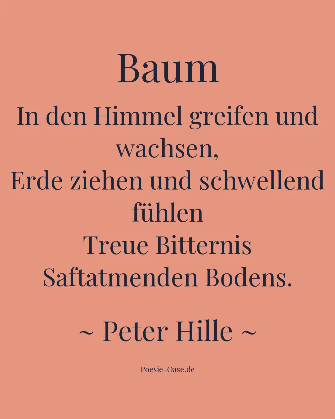 Illustration zu Baum
