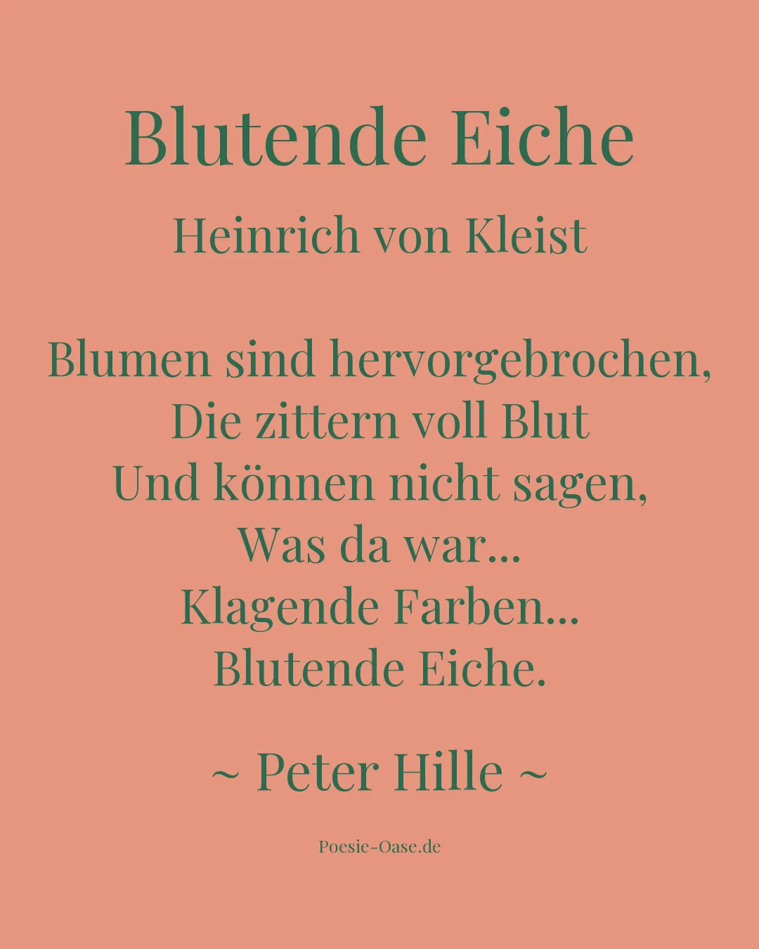 Illustration zu Blutende Eiche