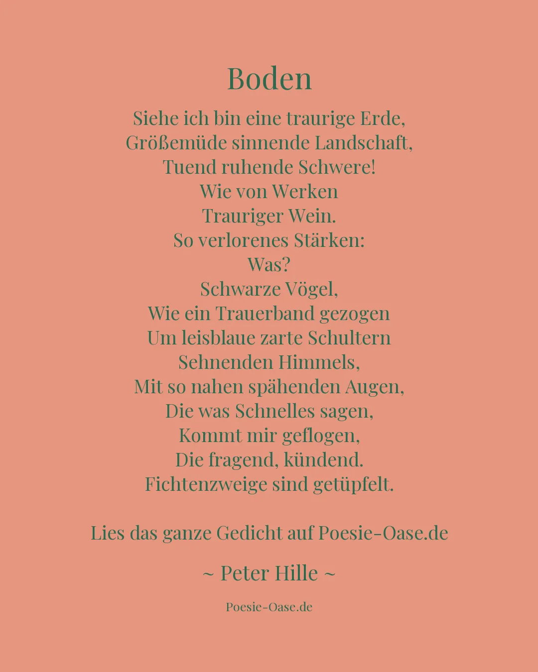 Illustration zu Boden