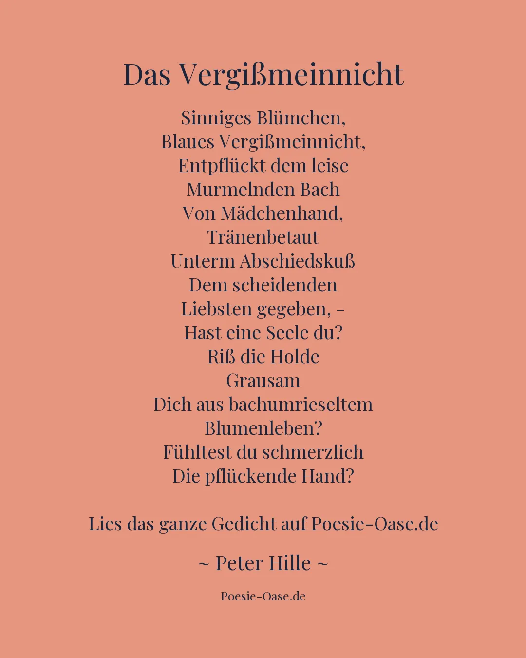 Illustration zu Das Vergißmeinnicht