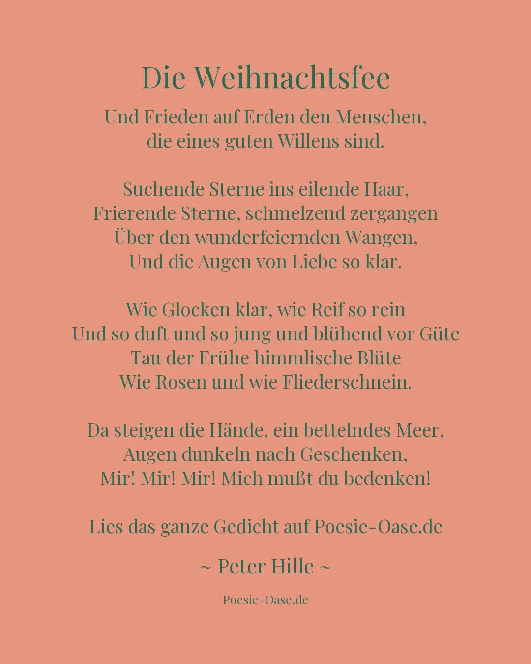 Illustration zu Die Weihnachtsfee