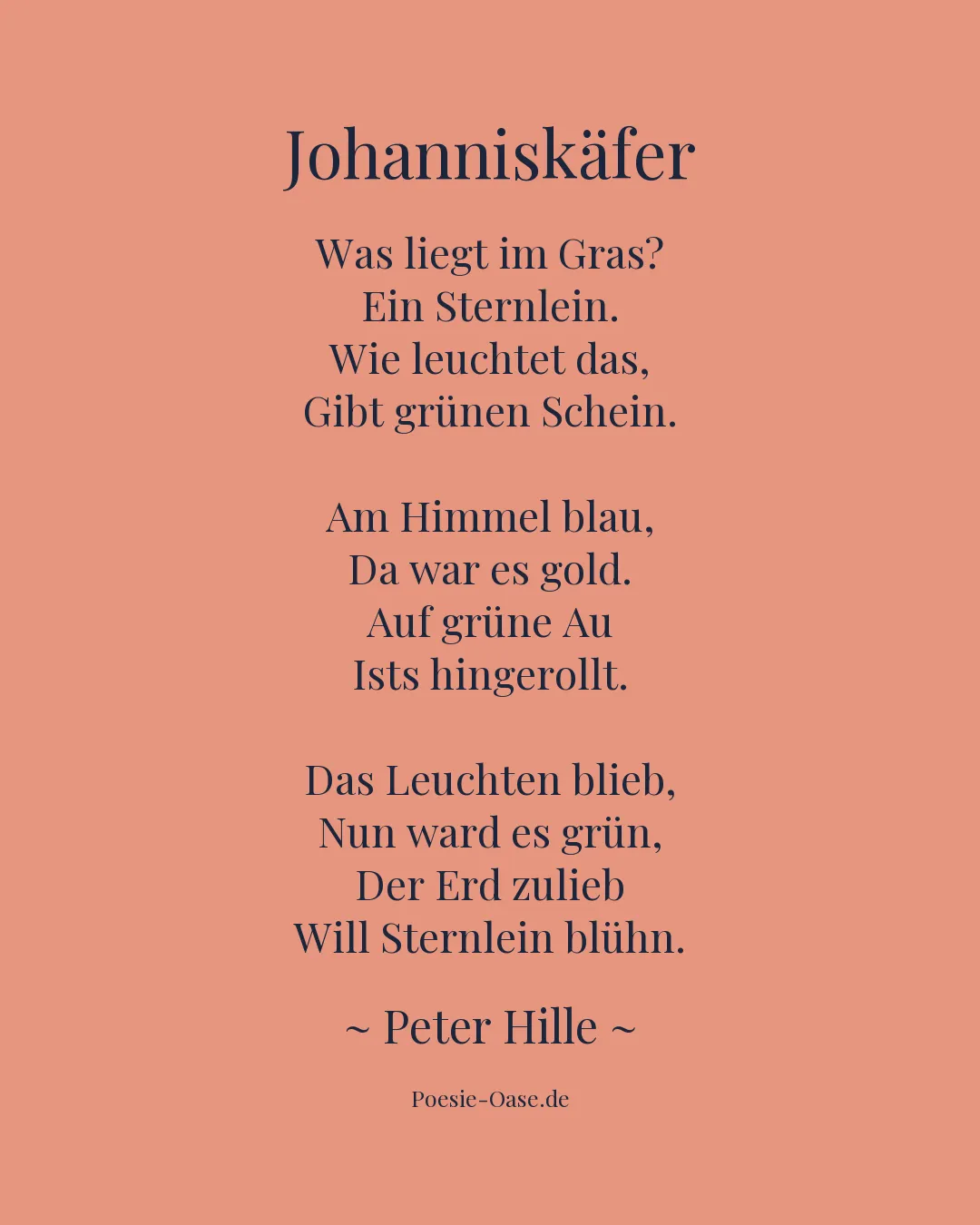 Illustration zu Johanniskäfer