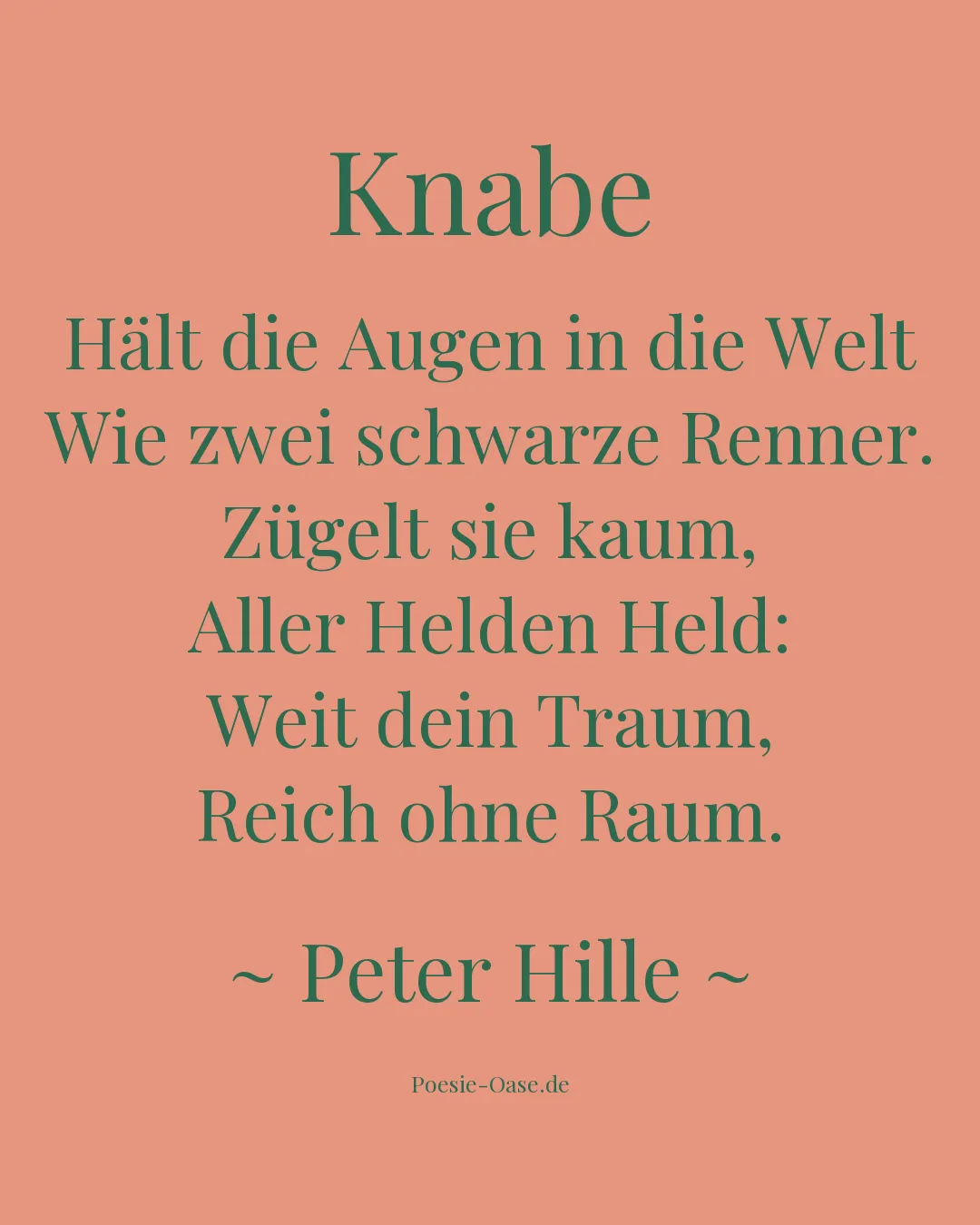 Illustration zu Knabe