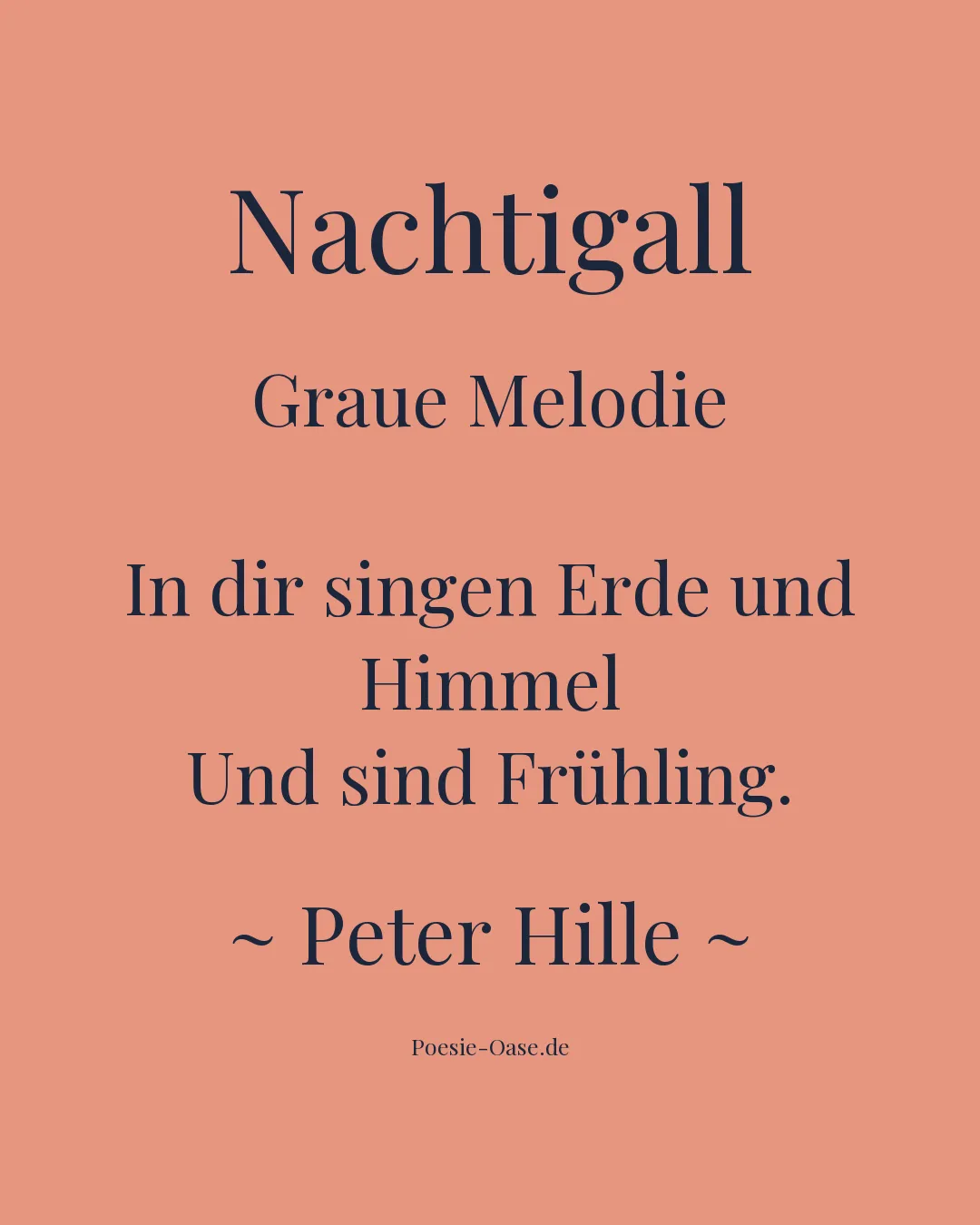 Illustration zu Nachtigall