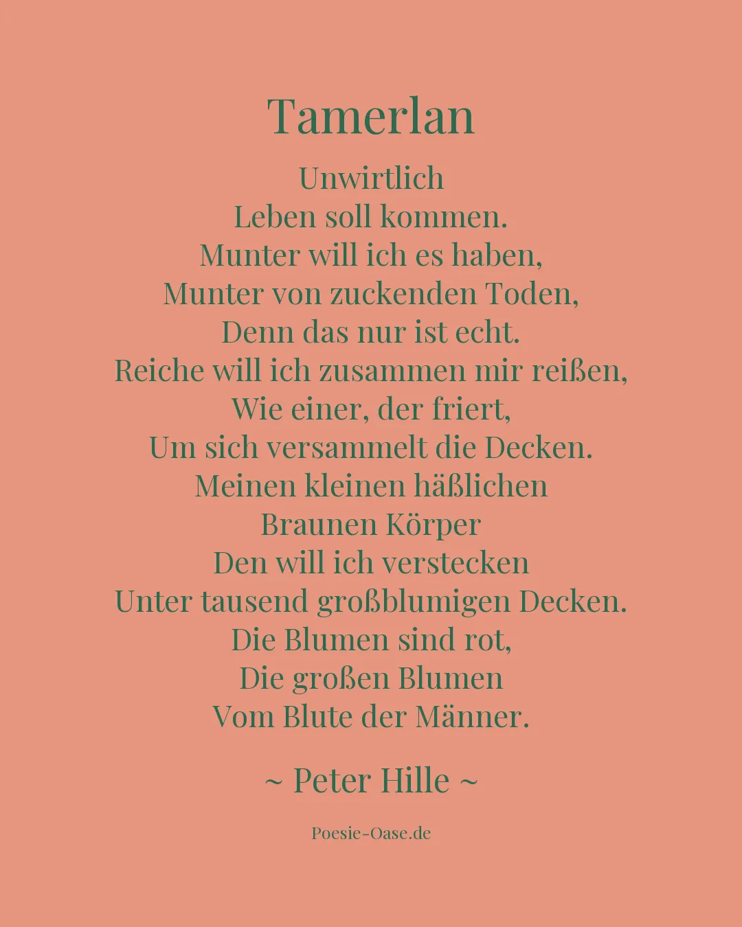 Illustration zu Tamerlan