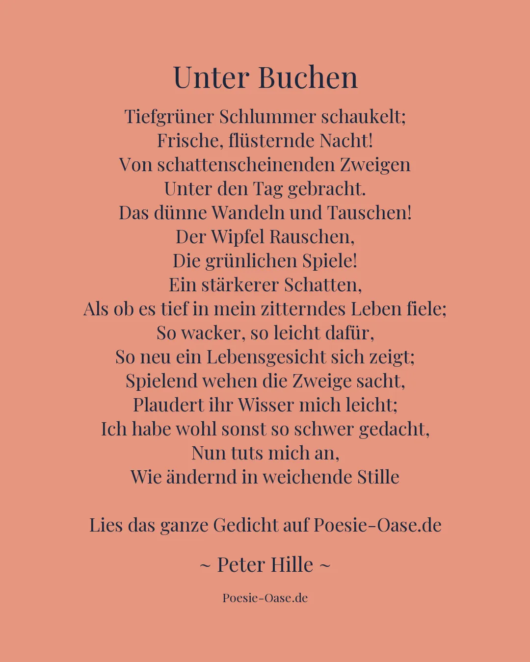 Illustration zu Unter Buchen