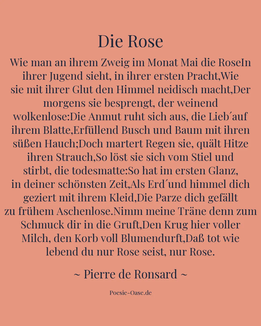 Illustration zu Die Rose