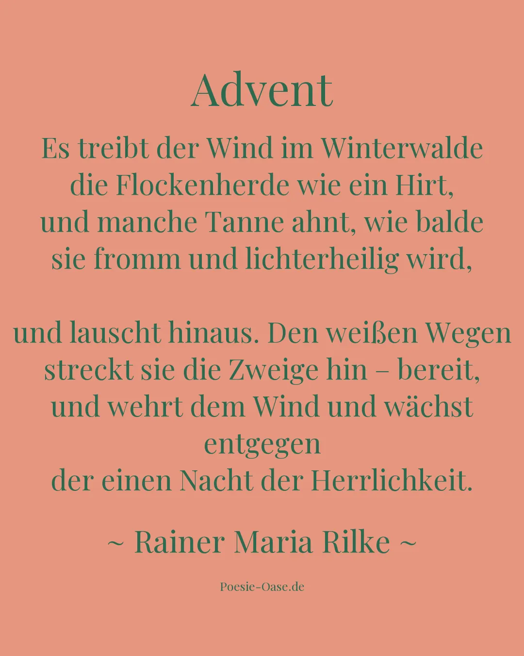Illustration zu Advent
