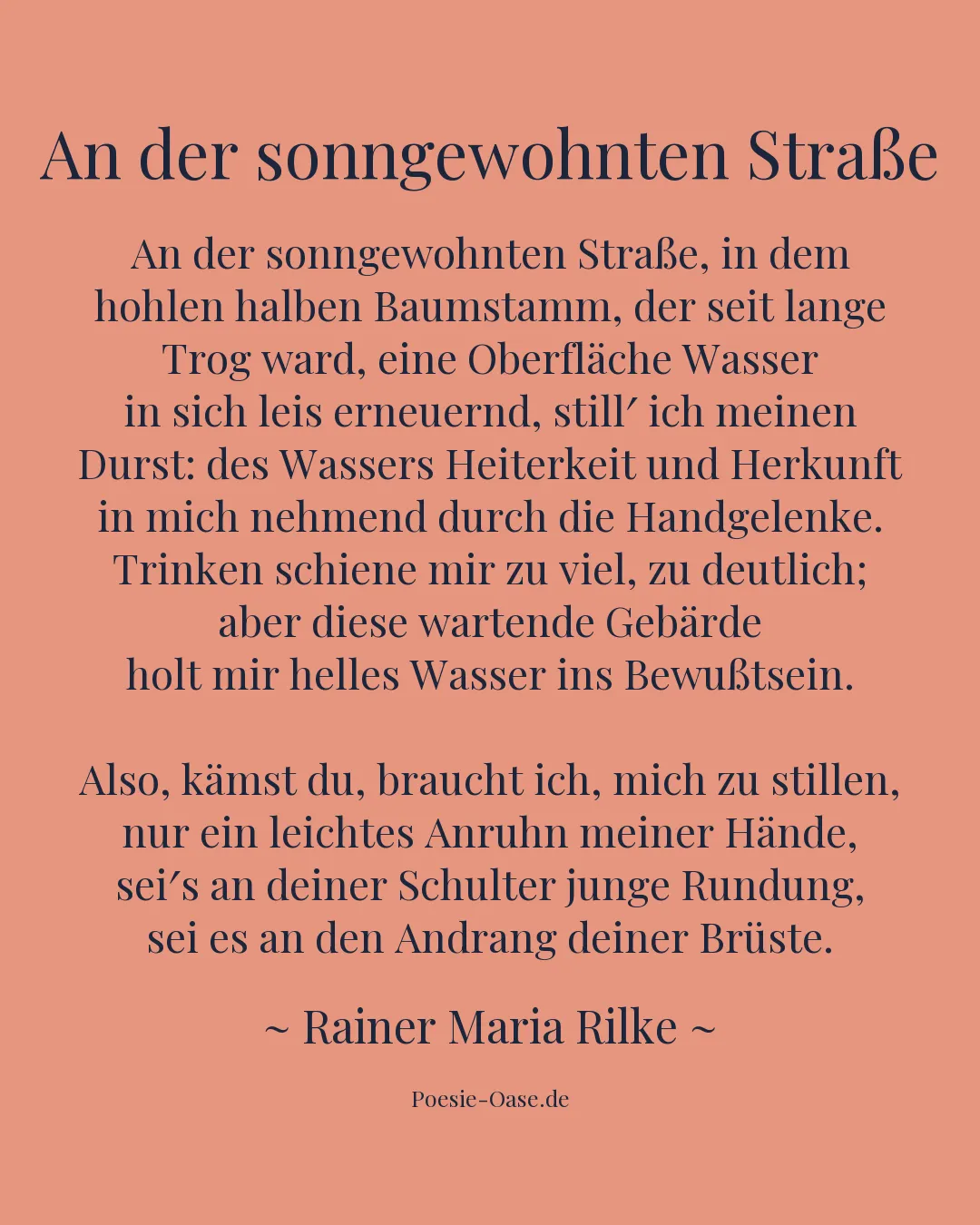 Illustration zu An der sonngewohnten Straße