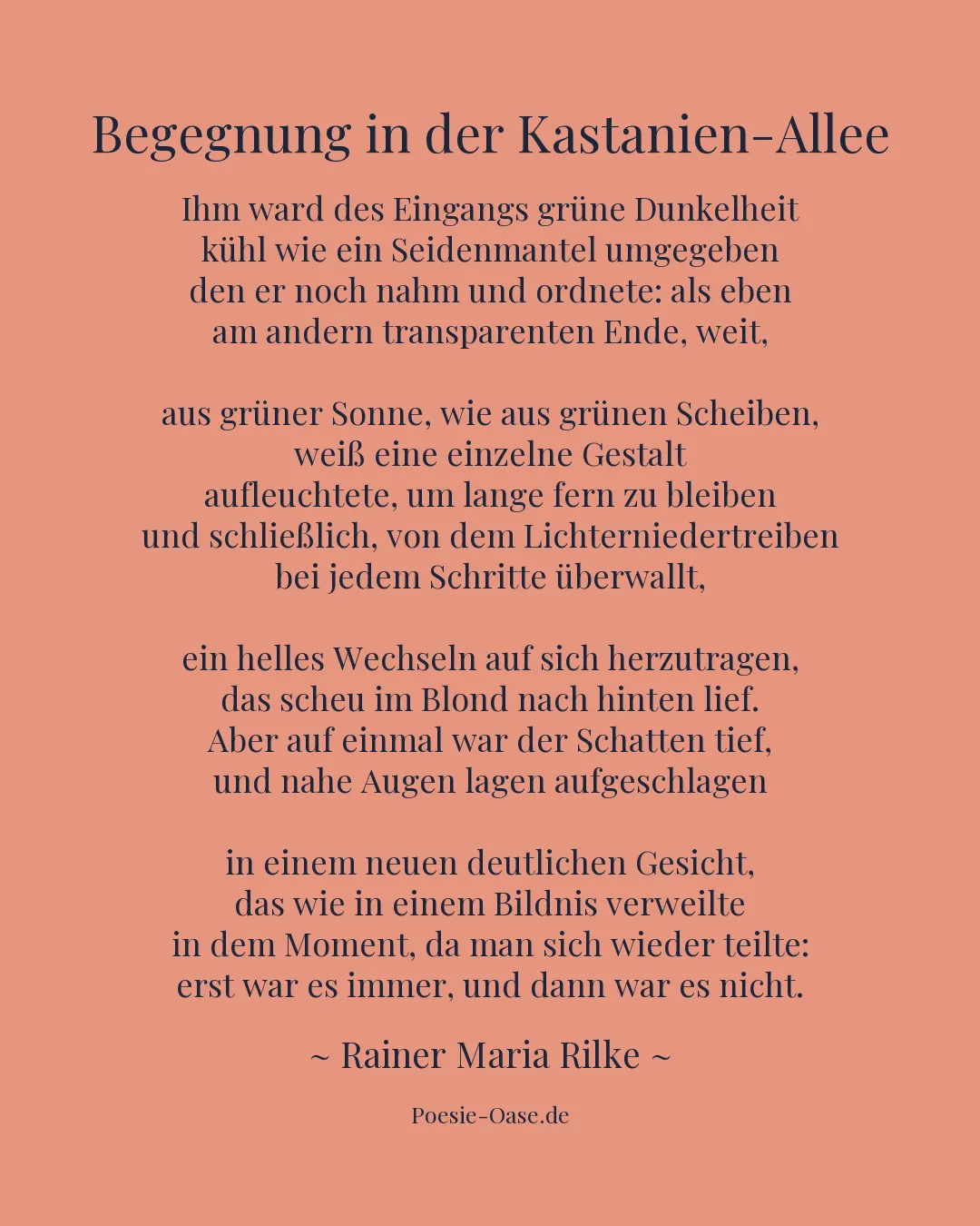 Illustration zu Begegnung in der Kastanien-Allee