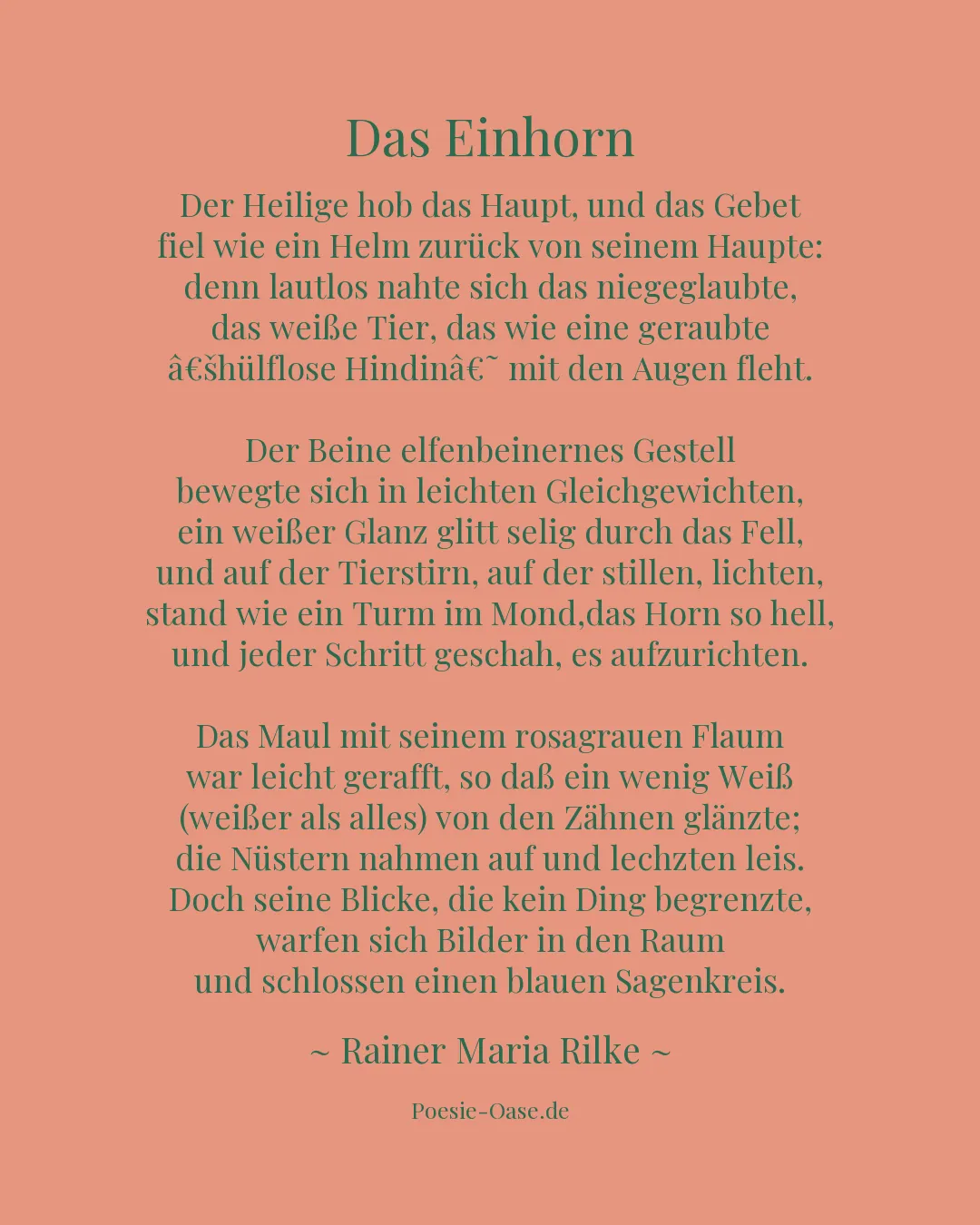 Illustration zu Das Einhorn