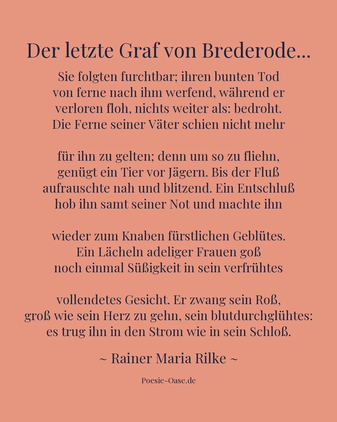 Illustration zu Der letzte Graf von Brederode...