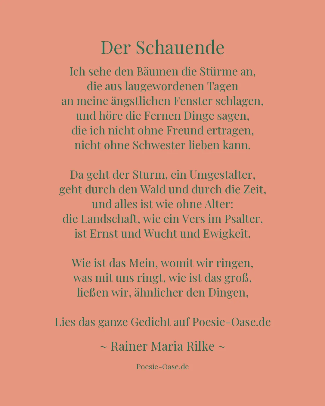 Illustration zu Der Schauende