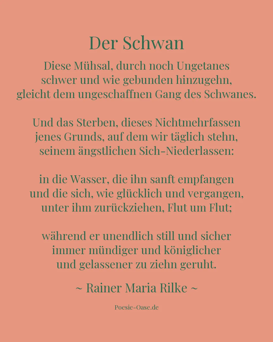 Illustration zu Der Schwan
