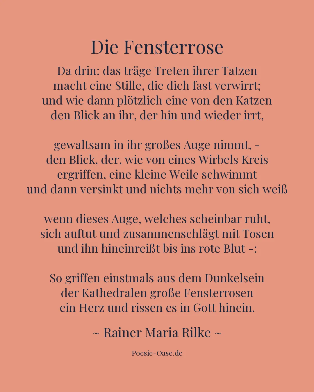 Illustration zu Die Fensterrose