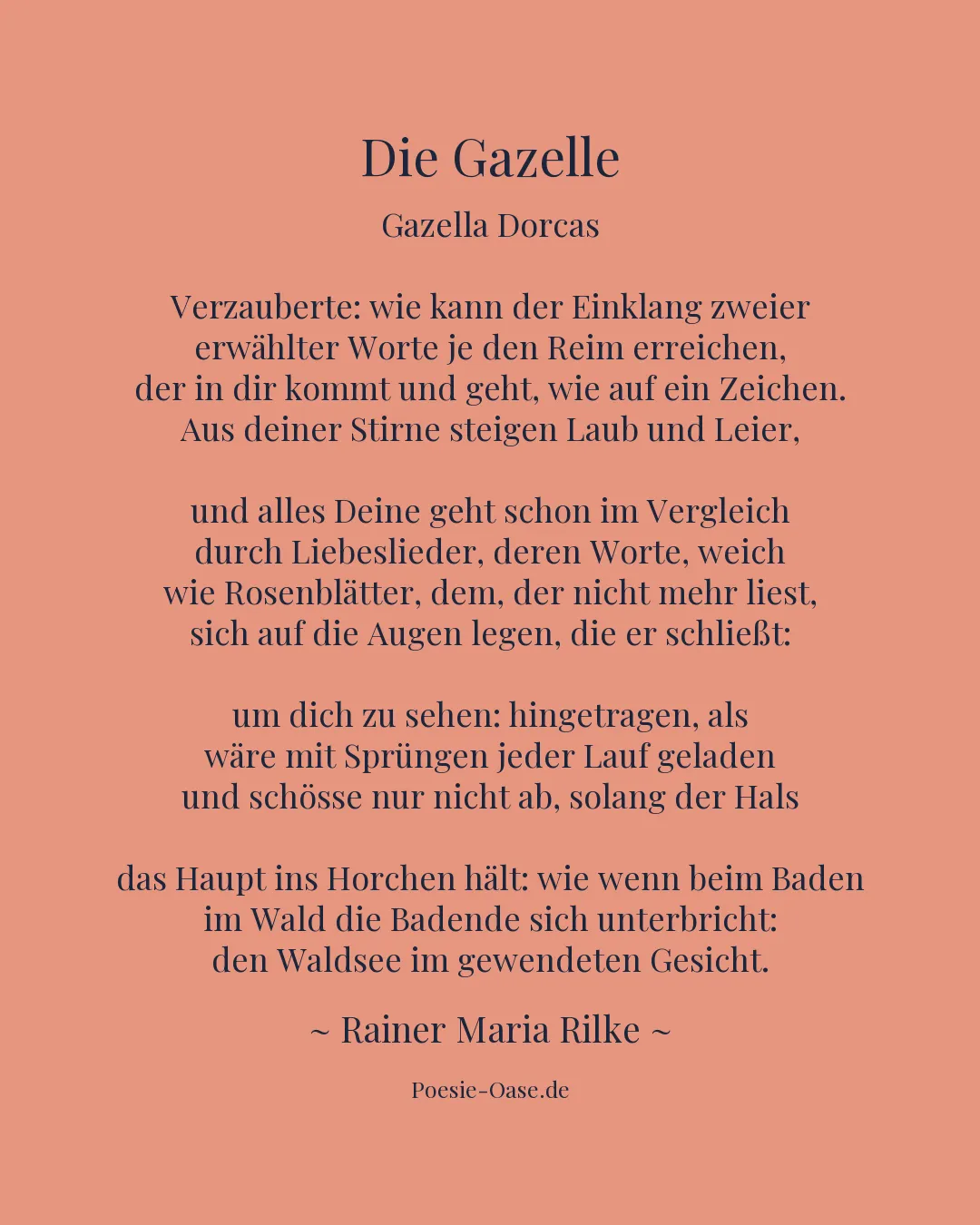 Illustration zu Die Gazelle