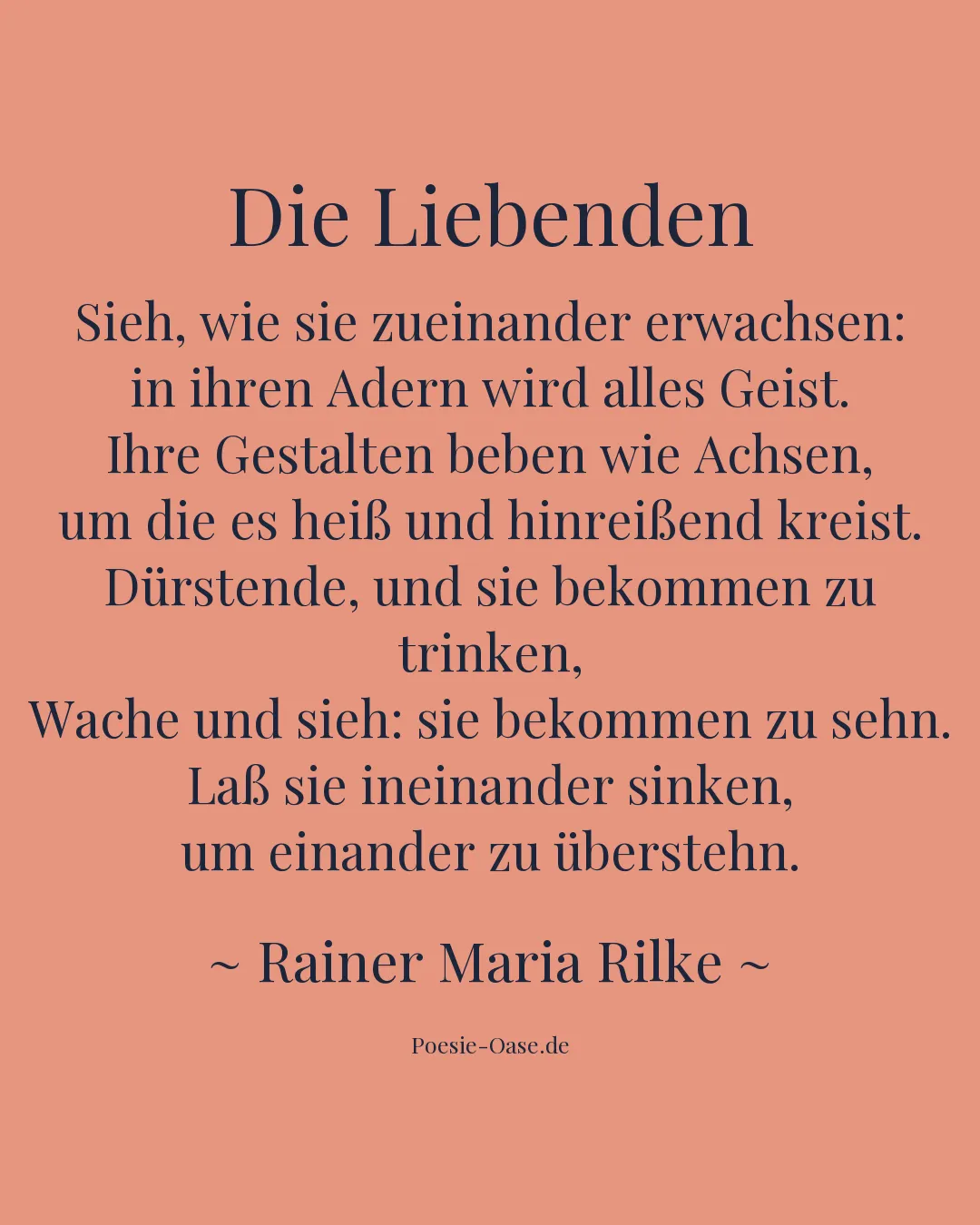 Illustration zu Die Liebenden