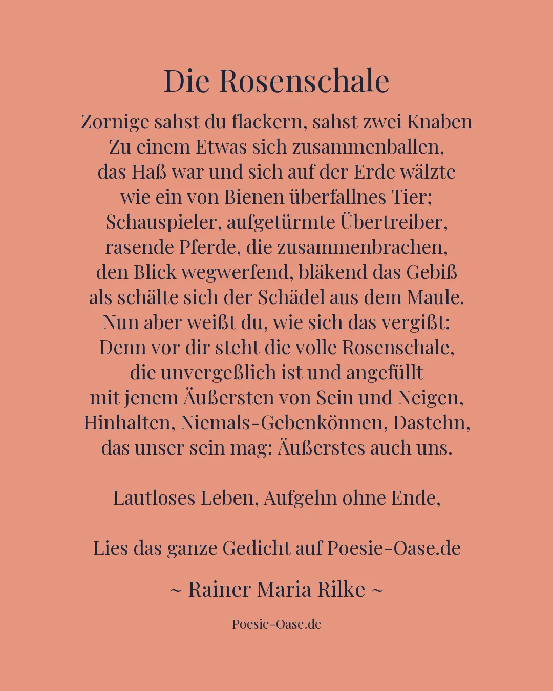 Illustration zu Die Rosenschale