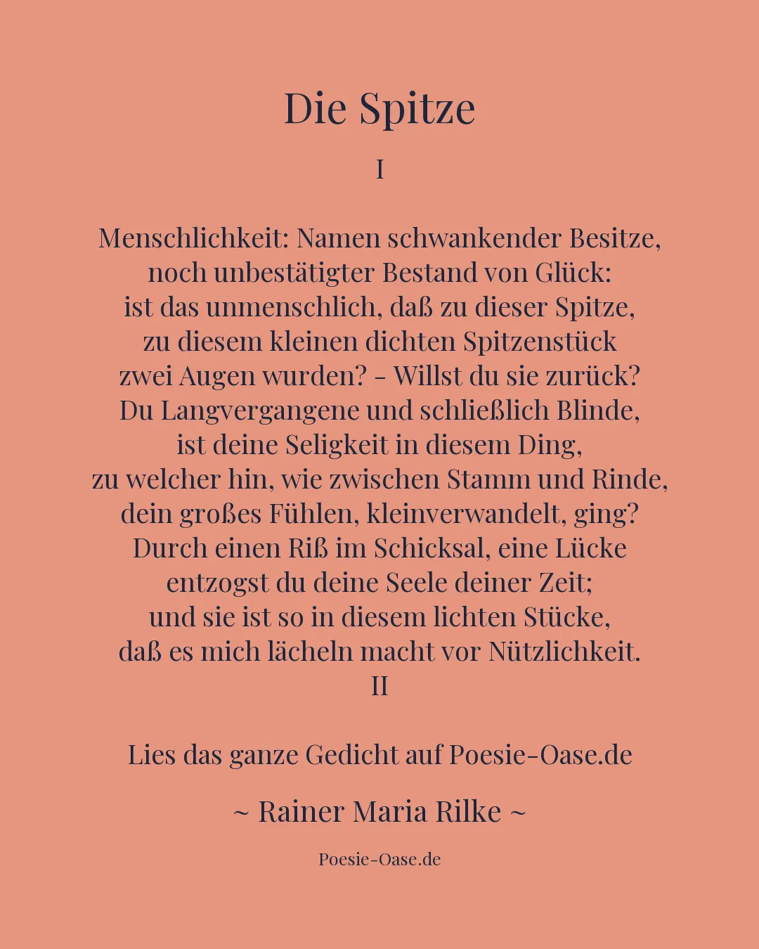 Illustration zu Die Spitze