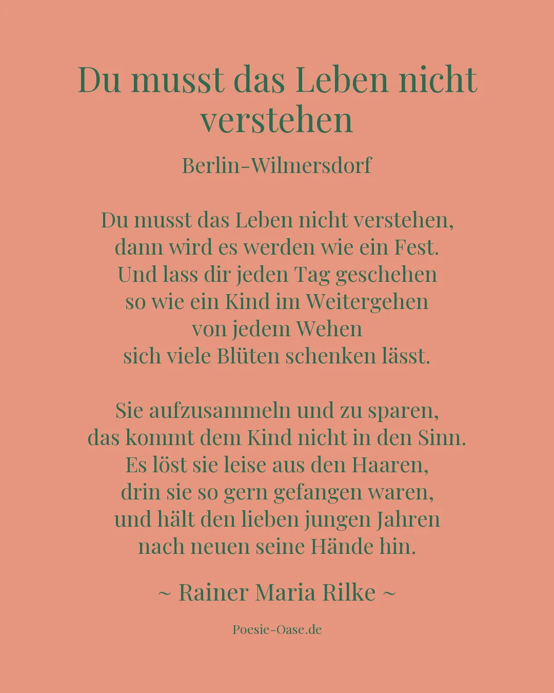 Illustration zu Du musst das Leben nicht verstehen