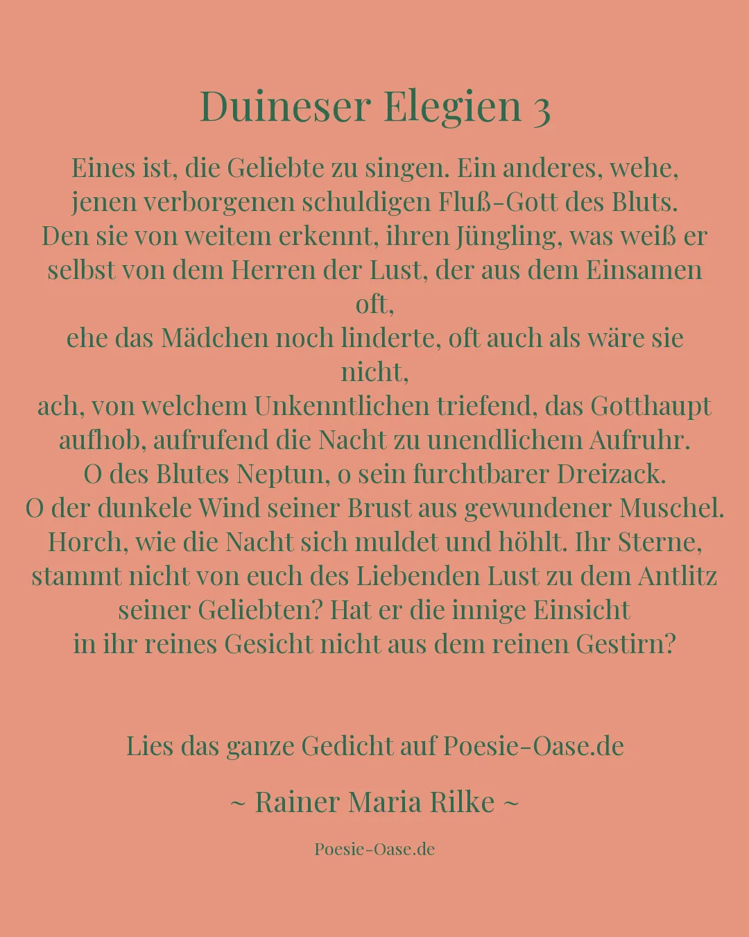 Illustration zu Duineser Elegien 3