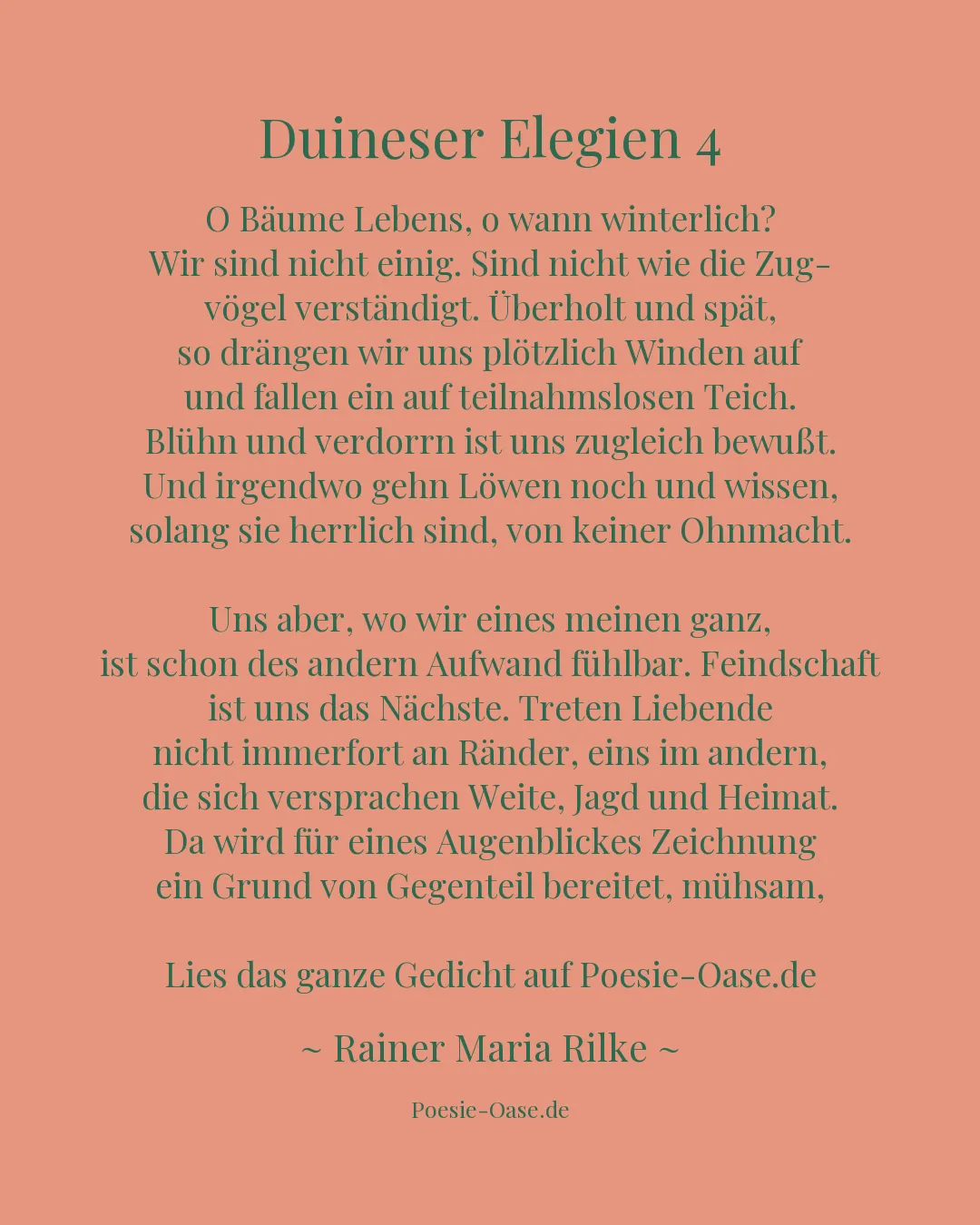 Illustration zu Duineser Elegien 4