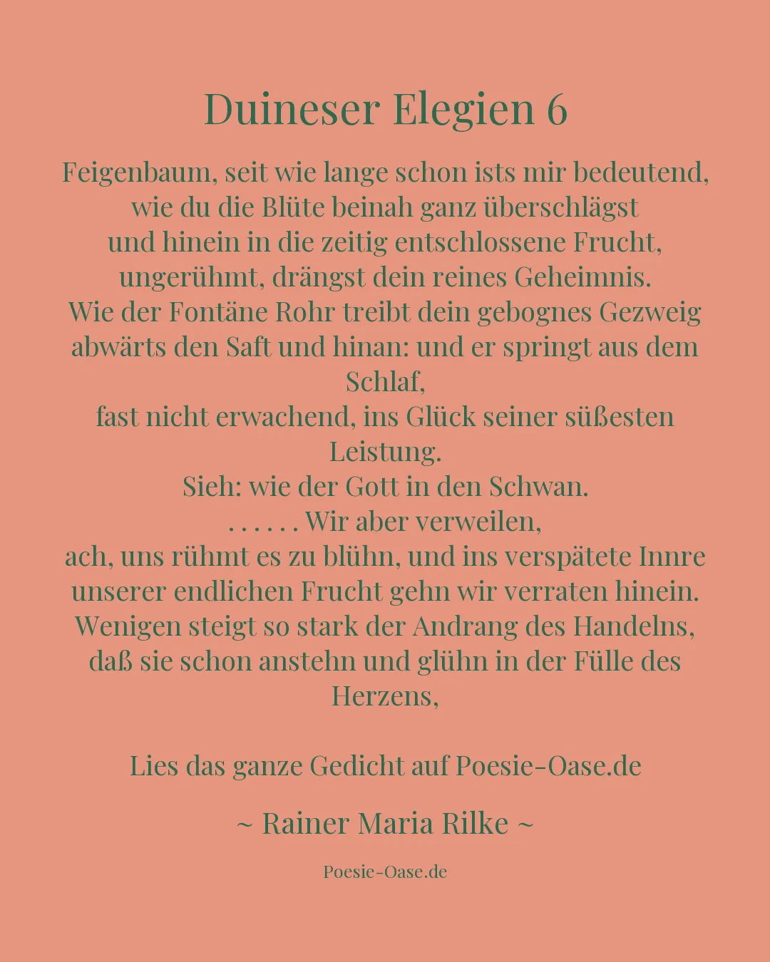 Illustration zu Duineser Elegien 6