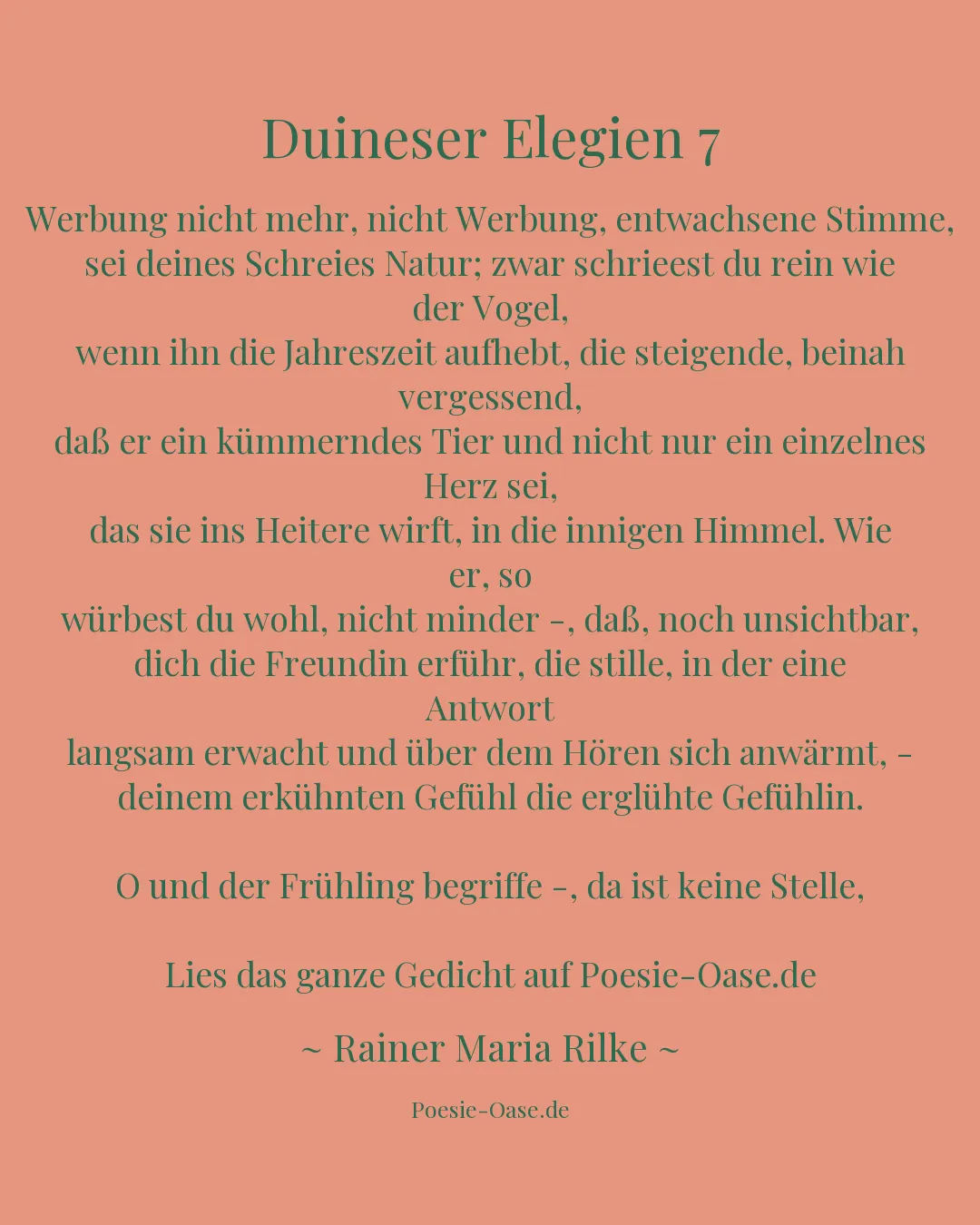 Illustration zu Duineser Elegien 7