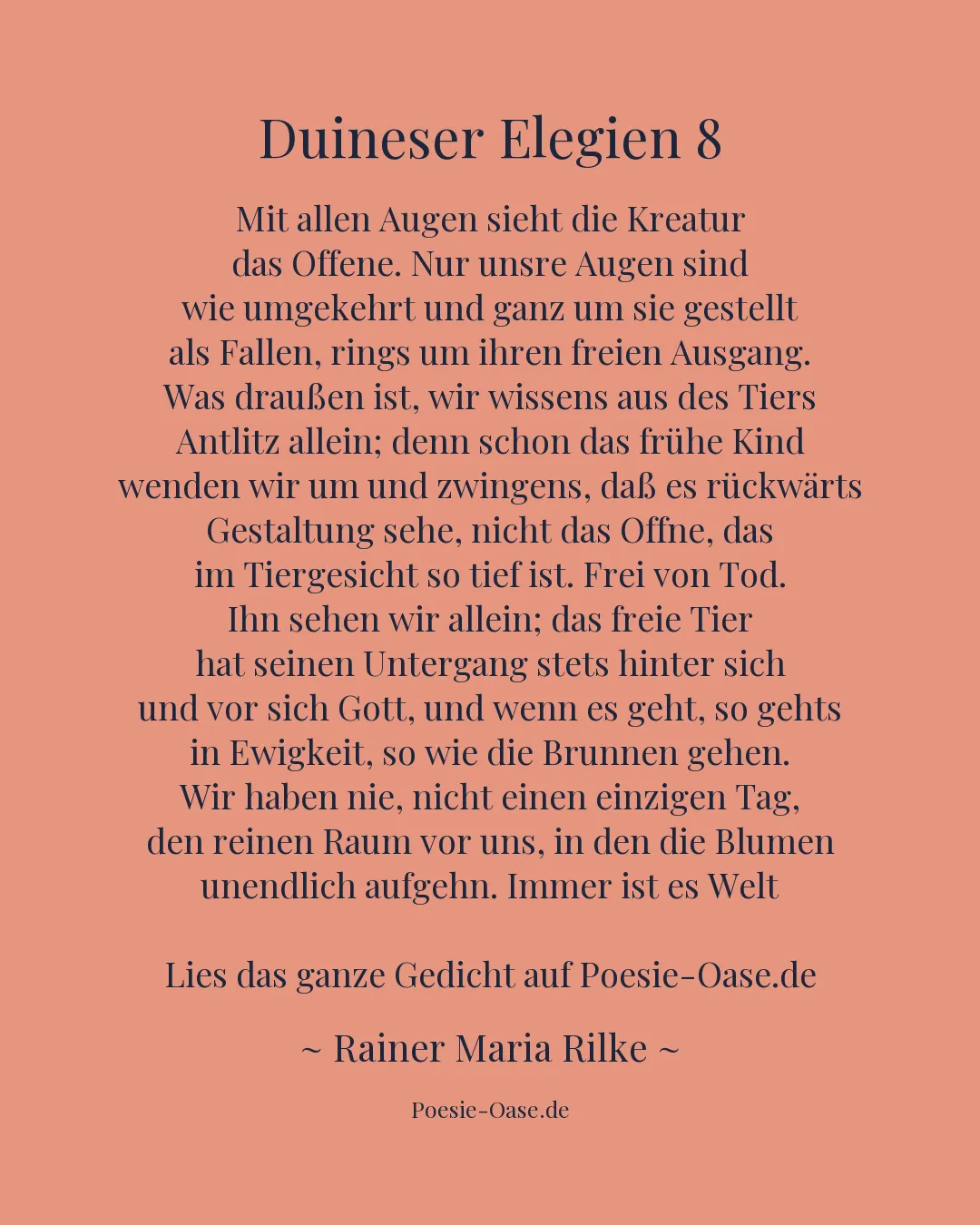Illustration zu Duineser Elegien 8