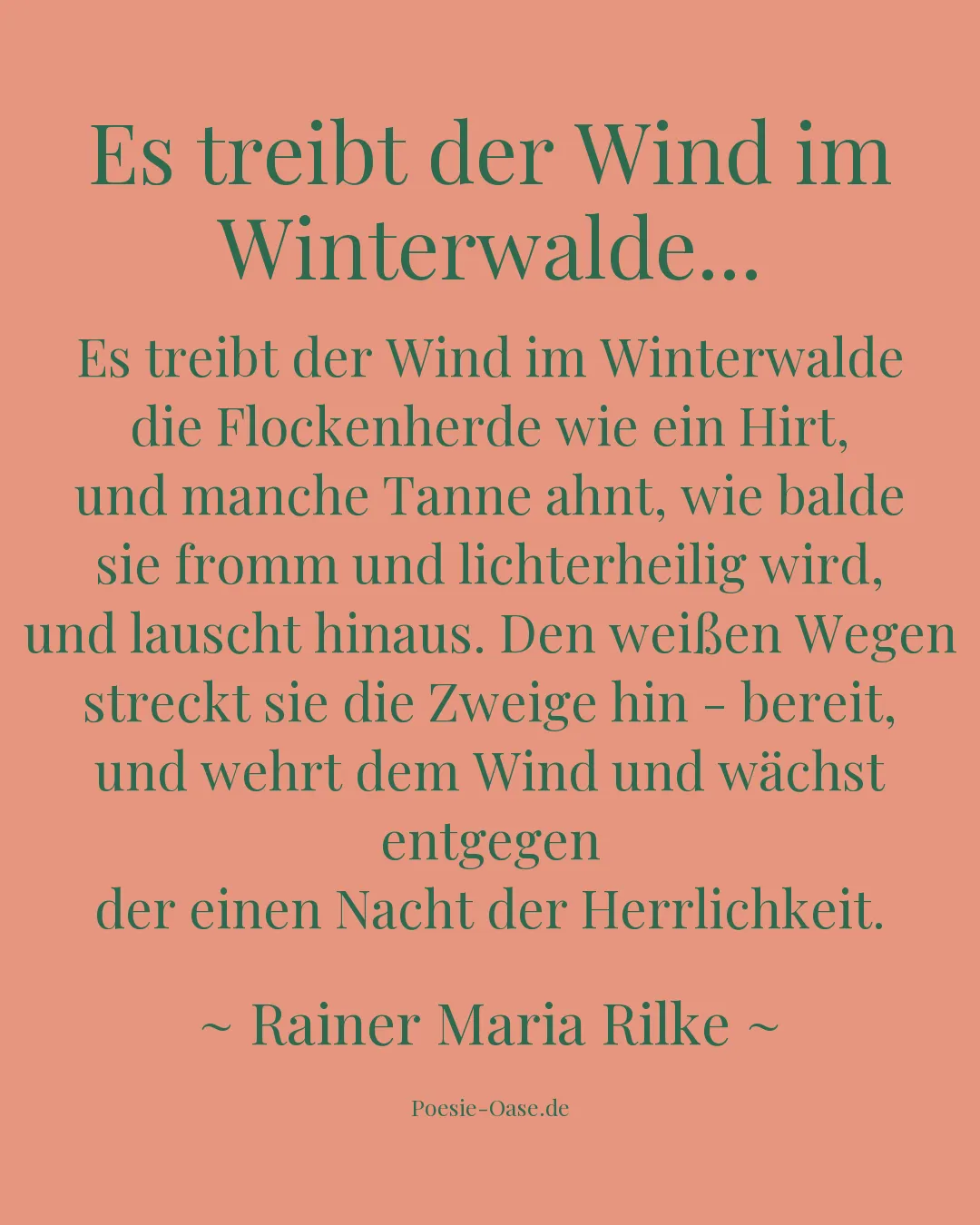 Illustration zu Es treibt der Wind im Winterwalde...