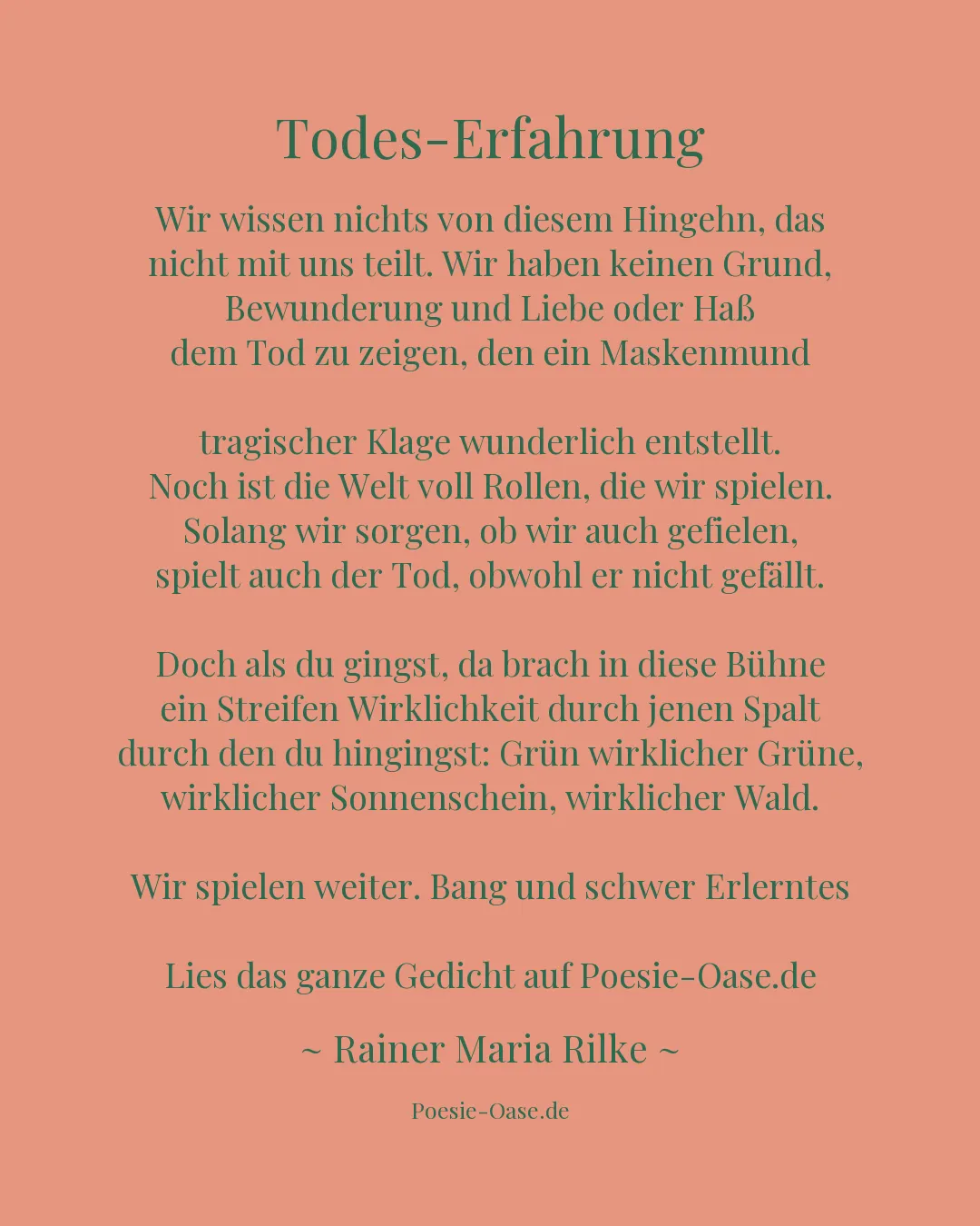 Illustration zu Todes-Erfahrung