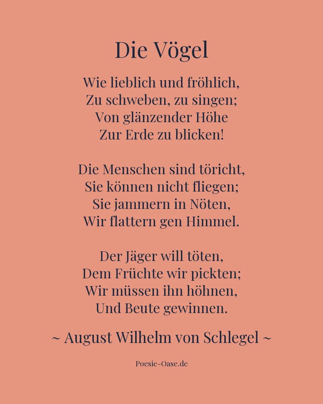 Illustration zu Die Vögel