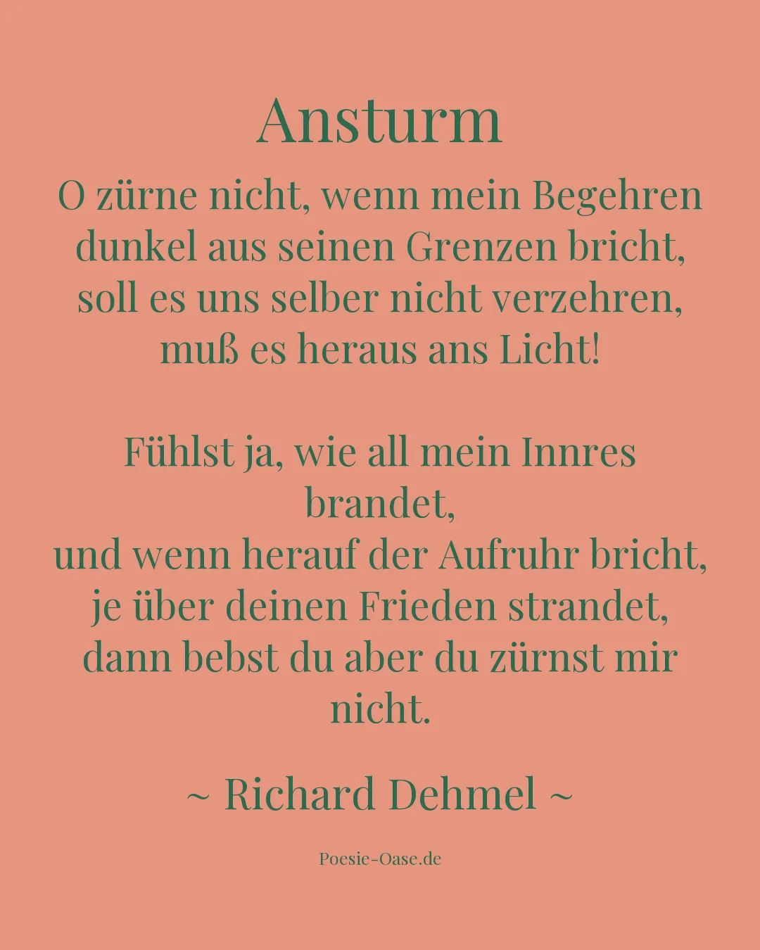 Illustration zu Ansturm