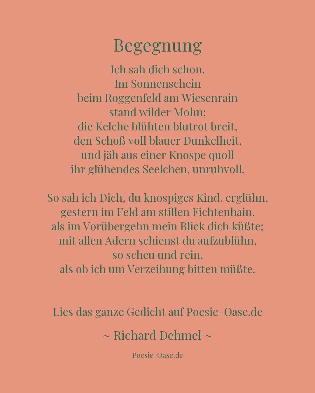 Illustration zu Begegnung