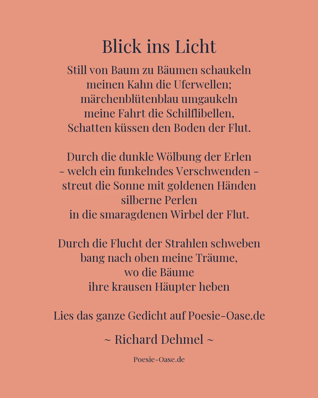 Illustration zu Blick ins Licht