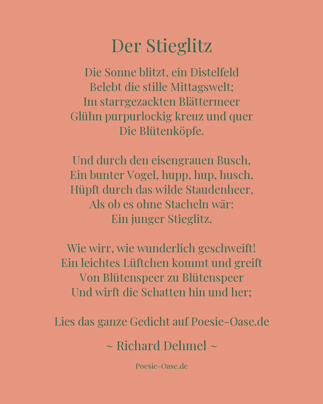 Illustration zu Der Stieglitz