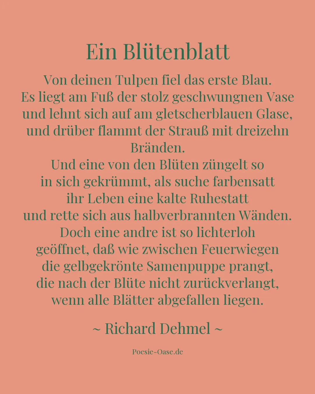 Illustration zu Ein Blütenblatt