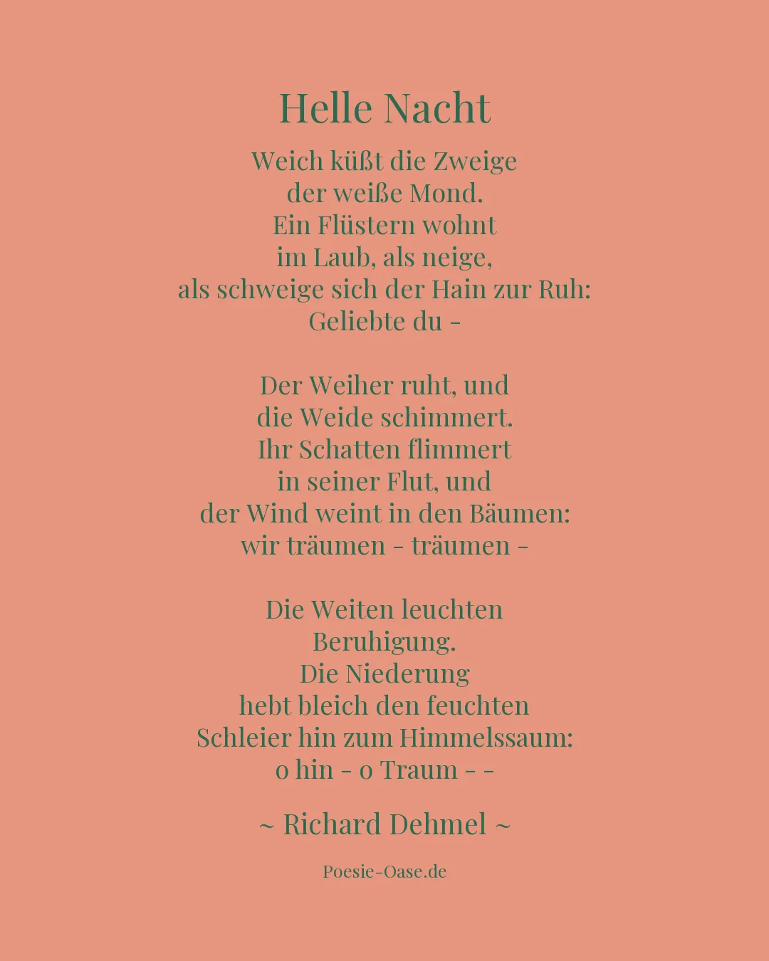 Illustration zu Helle Nacht