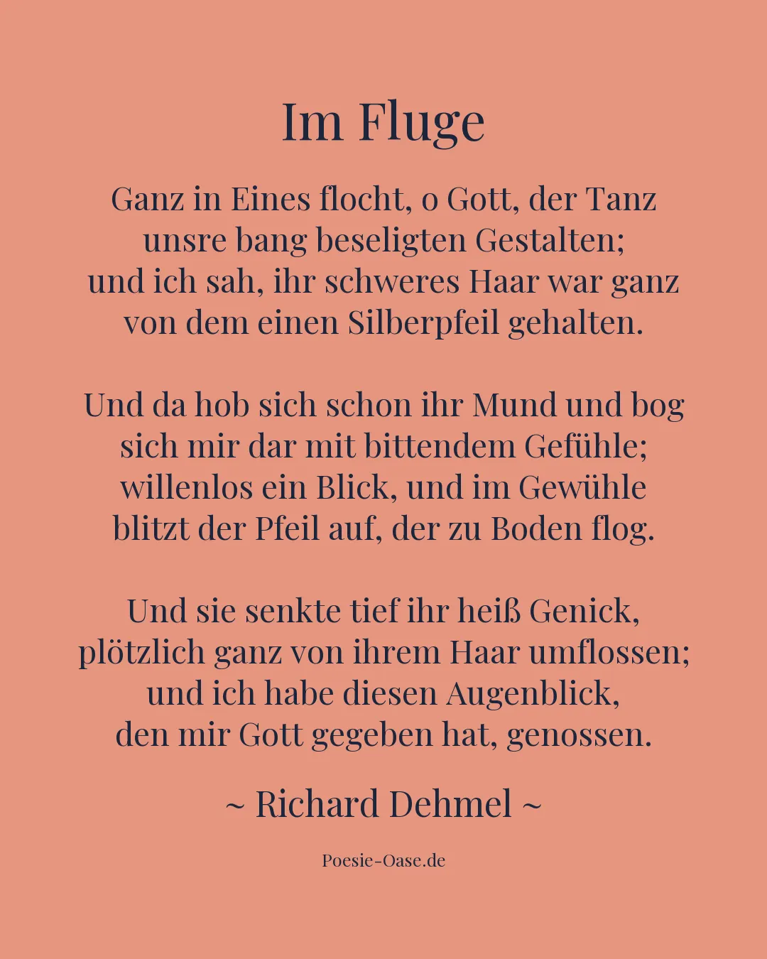 Illustration zu Im Fluge