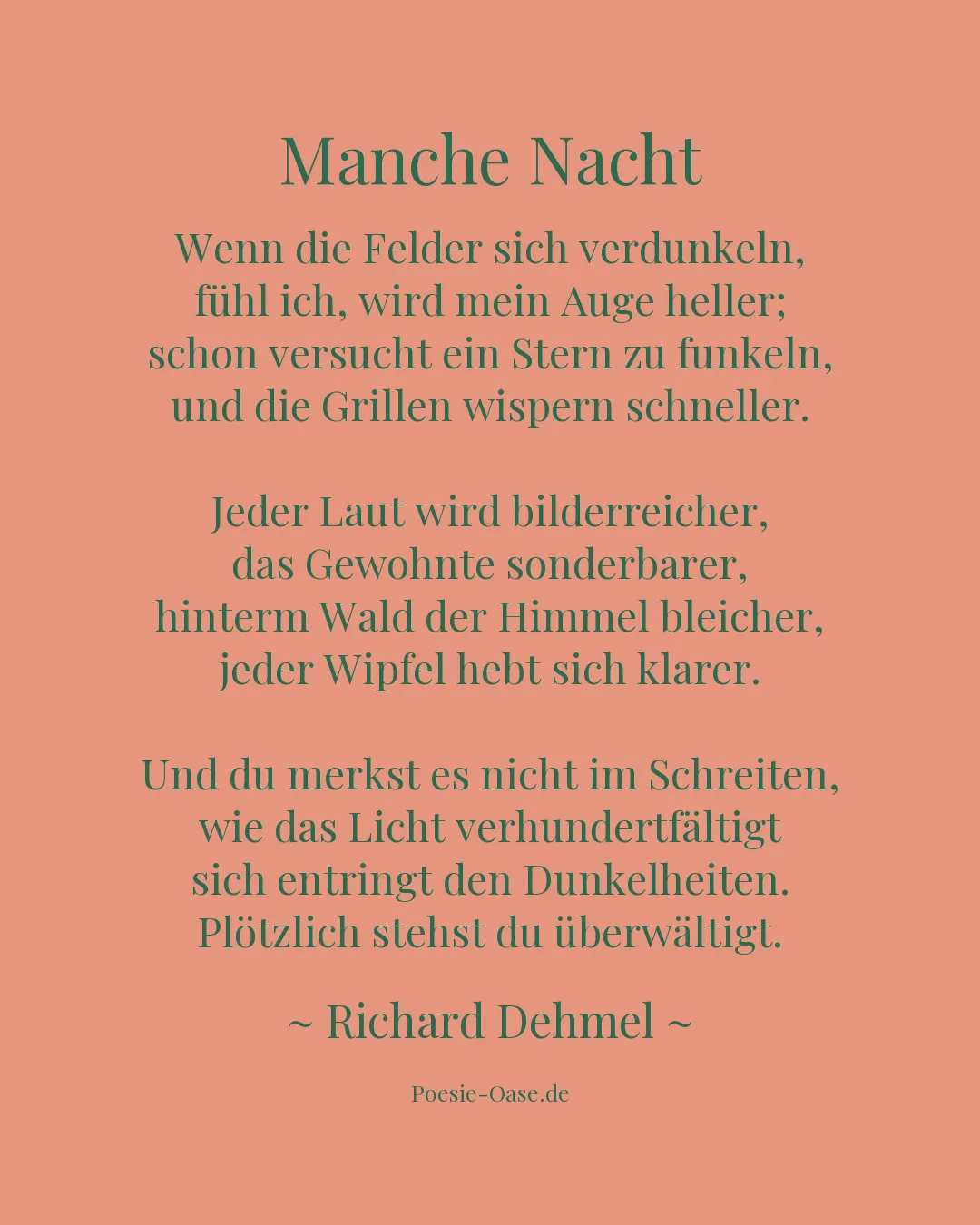 Illustration zu Manche Nacht