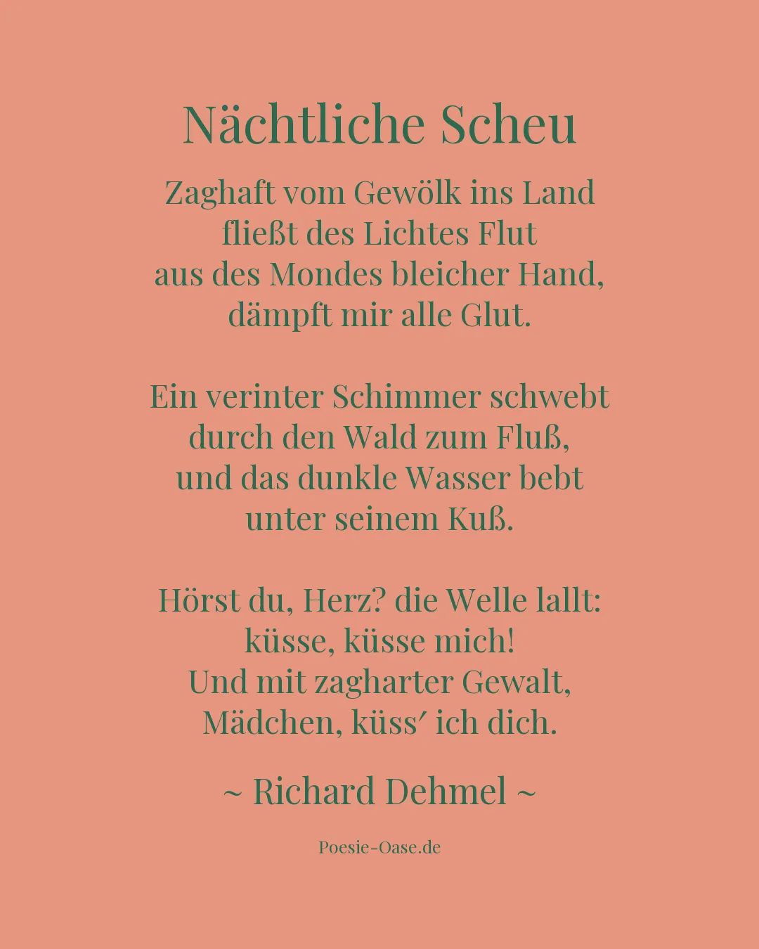 Illustration zu Nächtliche Scheu