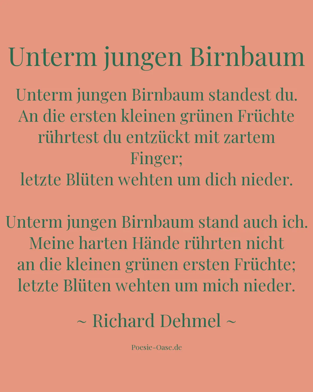 Illustration zu Unterm jungen Birnbaum