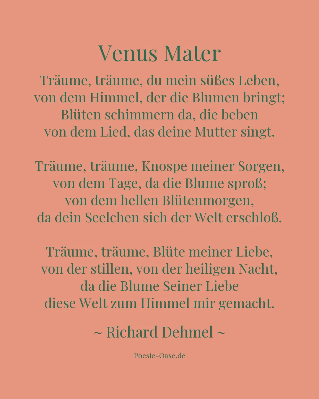 Illustration zu Venus Mater