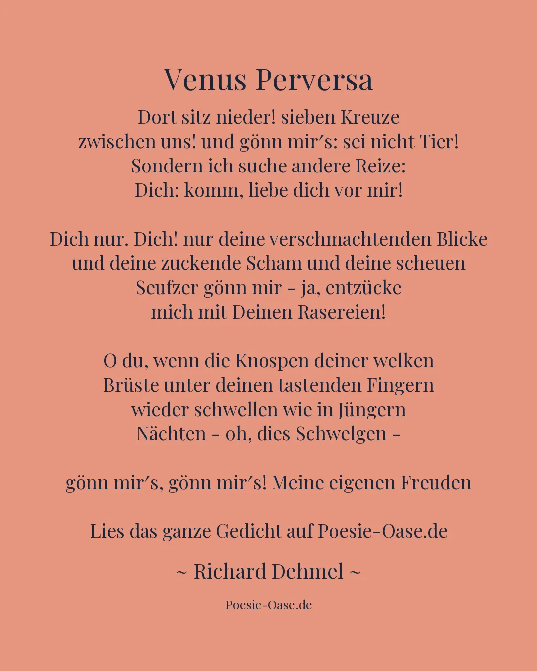 Illustration zu Venus Perversa