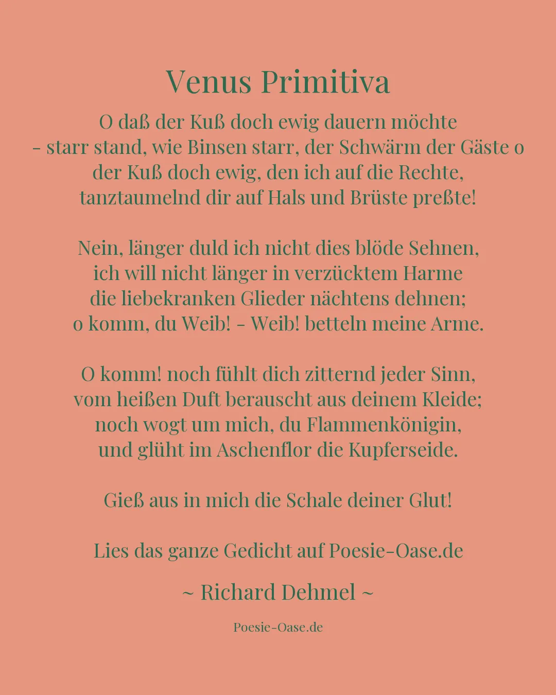 Illustration zu Venus Primitiva